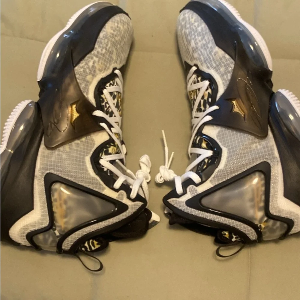 Nike Black Graphic LeBron Shoe Box Lid with Subtle Silver Accents